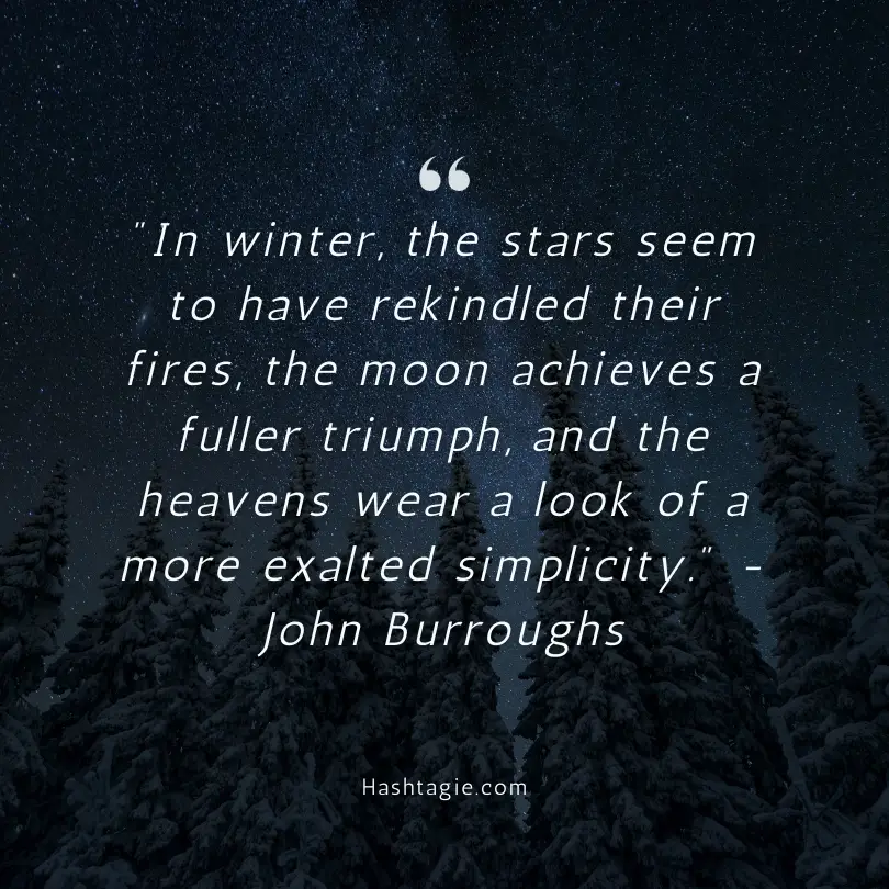 Winter quotes for New Year's celebrations example image