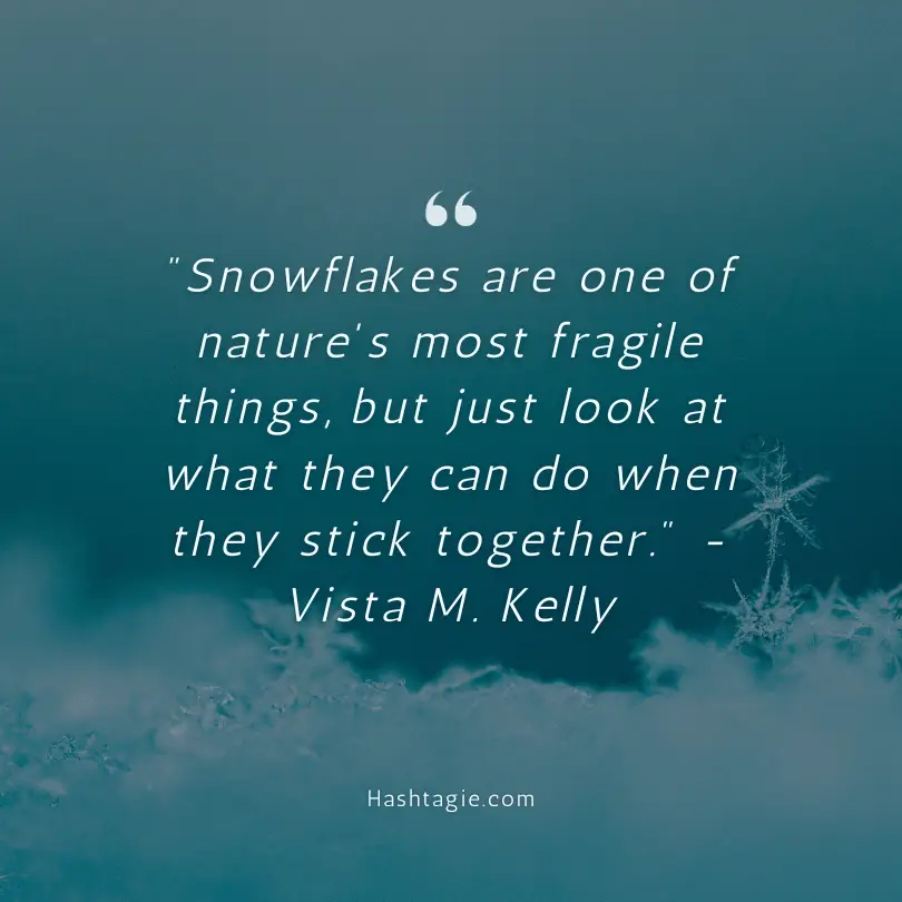 Winter quotes for winter solstice example image