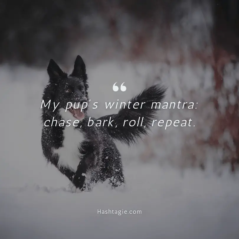 Winter snow day with dog captions example image