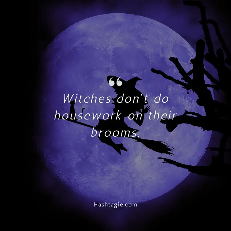 Witches broomstick quotes example image