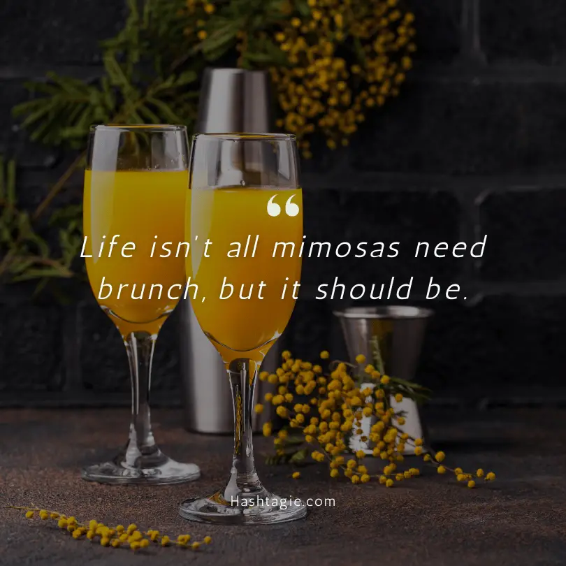 Witty Mimosa Quotes example image